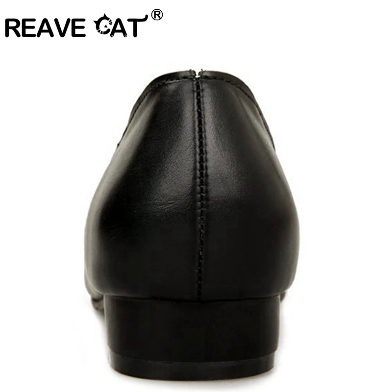 REAVE CAT/кожаные туфли Sapatos femininos; большие размеры 30-50; новые весенне-летние женские туфли на плоской подошве с острым носком; модные повседневные Черные туфли; QL4825