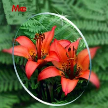 1,61 Асферические ультра-тонкие оптические линзы, анти-голубые лучи, линзы для защиты компьютера, линзы для близорукости, смола, зеленая пленка, линзы по рецепту