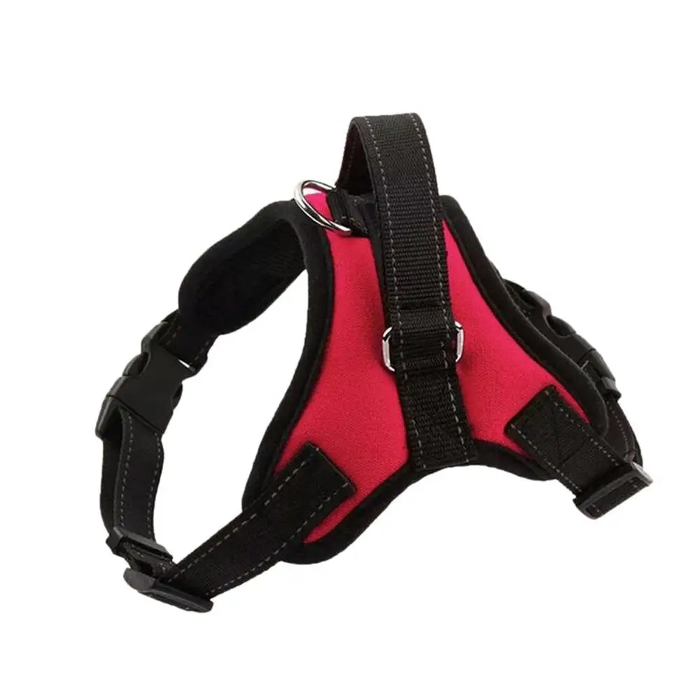 Шлейка Для Собак Купить В Перми