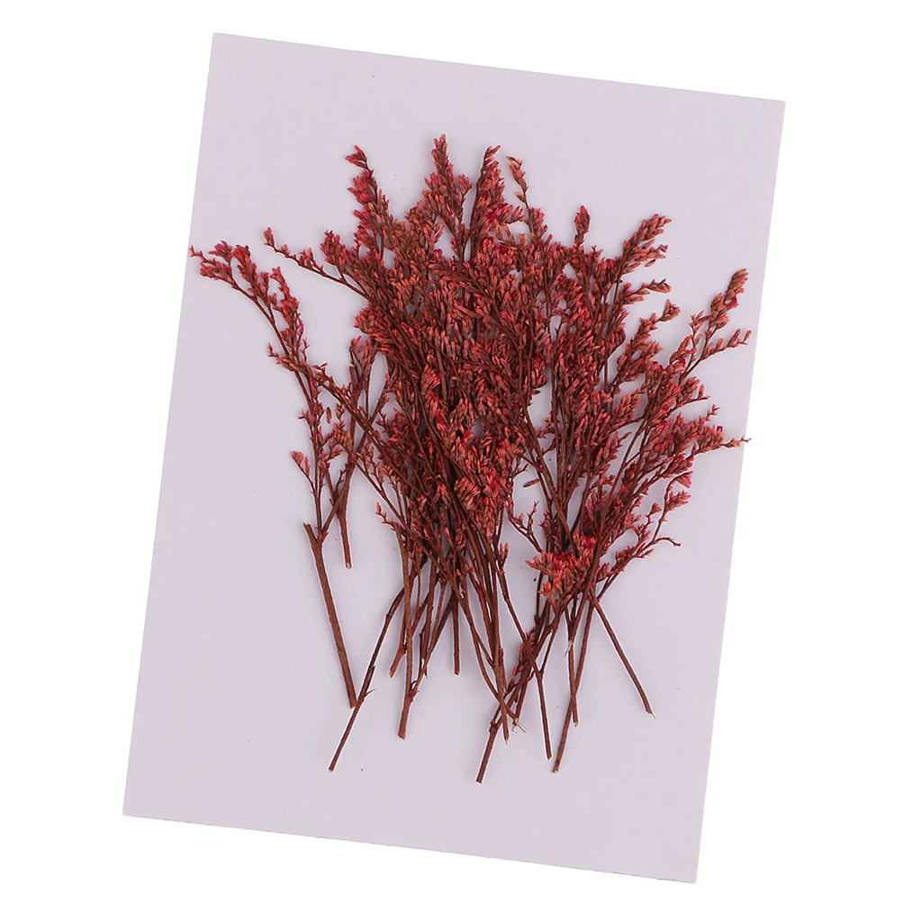 20 Pieces Dyed Red Limonium Dried Flowers Embellishments for DIY Phone Case Decoration Handmade Resin Casting Ornament 7-10cm