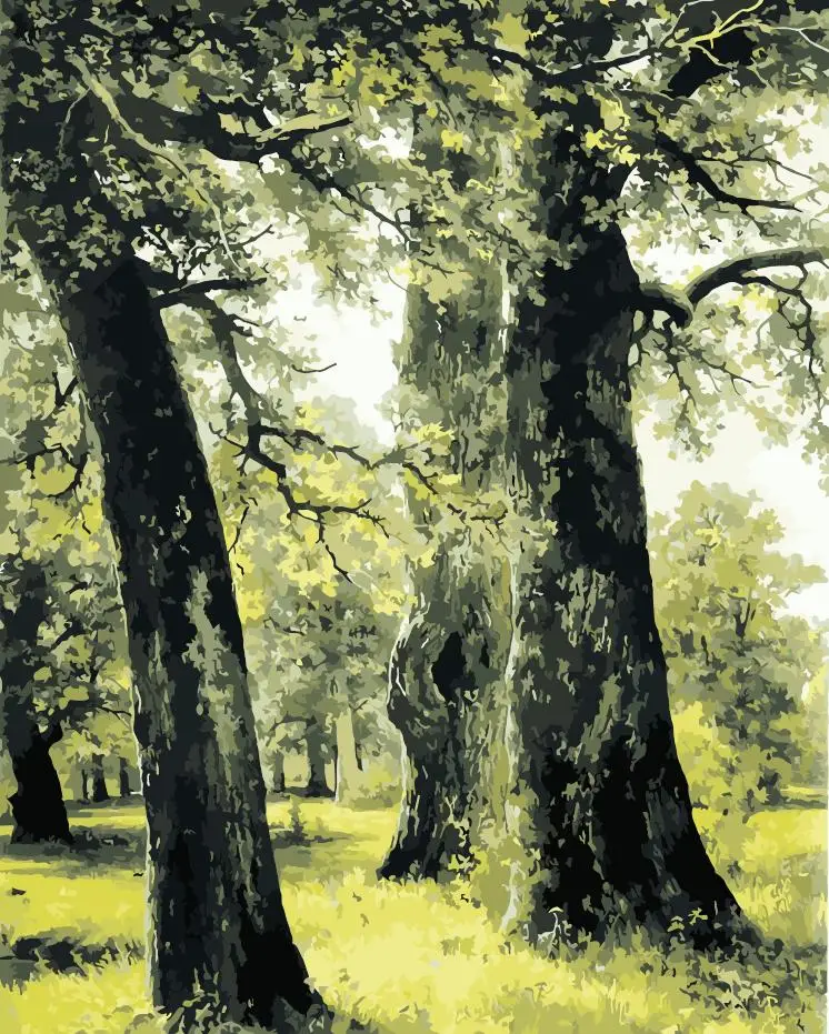 

Giant trees Forest Scenery DIY Digital Painting By Number Modern Wall Art Canvas Painting Unique Gift Room Decor 40x50cm