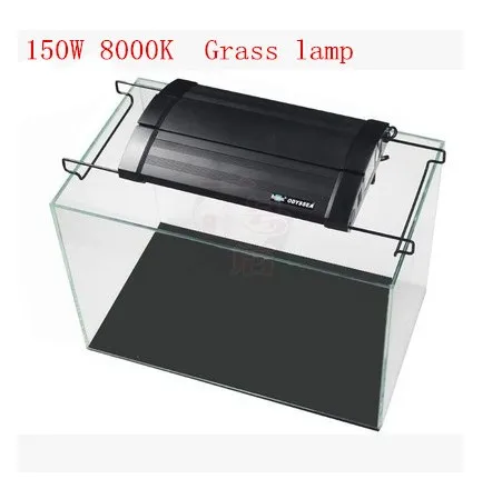 150W 8000K holder