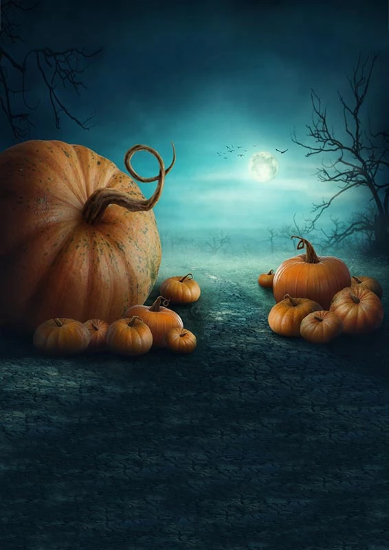 Photography Backdrops Pumpkins In Strange Night Backgrounds For Photo Studio Halloween Backdrop Photography Accessories Vinyl Background Aliexpress