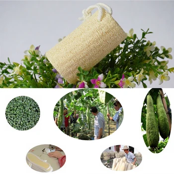 

1PC Natural Loofah Luffa Loofa Bath Shower Sponge Spa message Body Scrubber Horniness Remover bathroom accessories