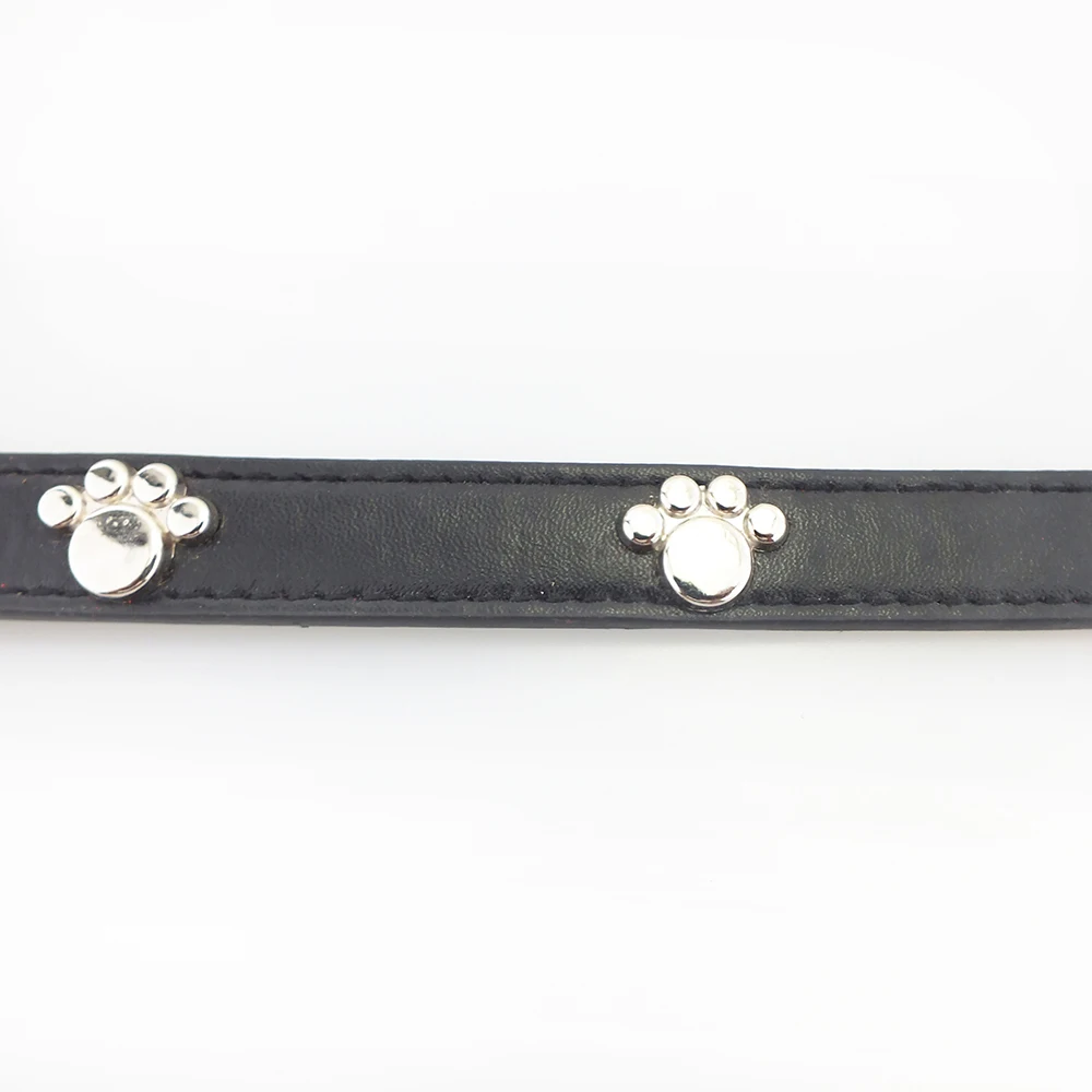 dog collar 5