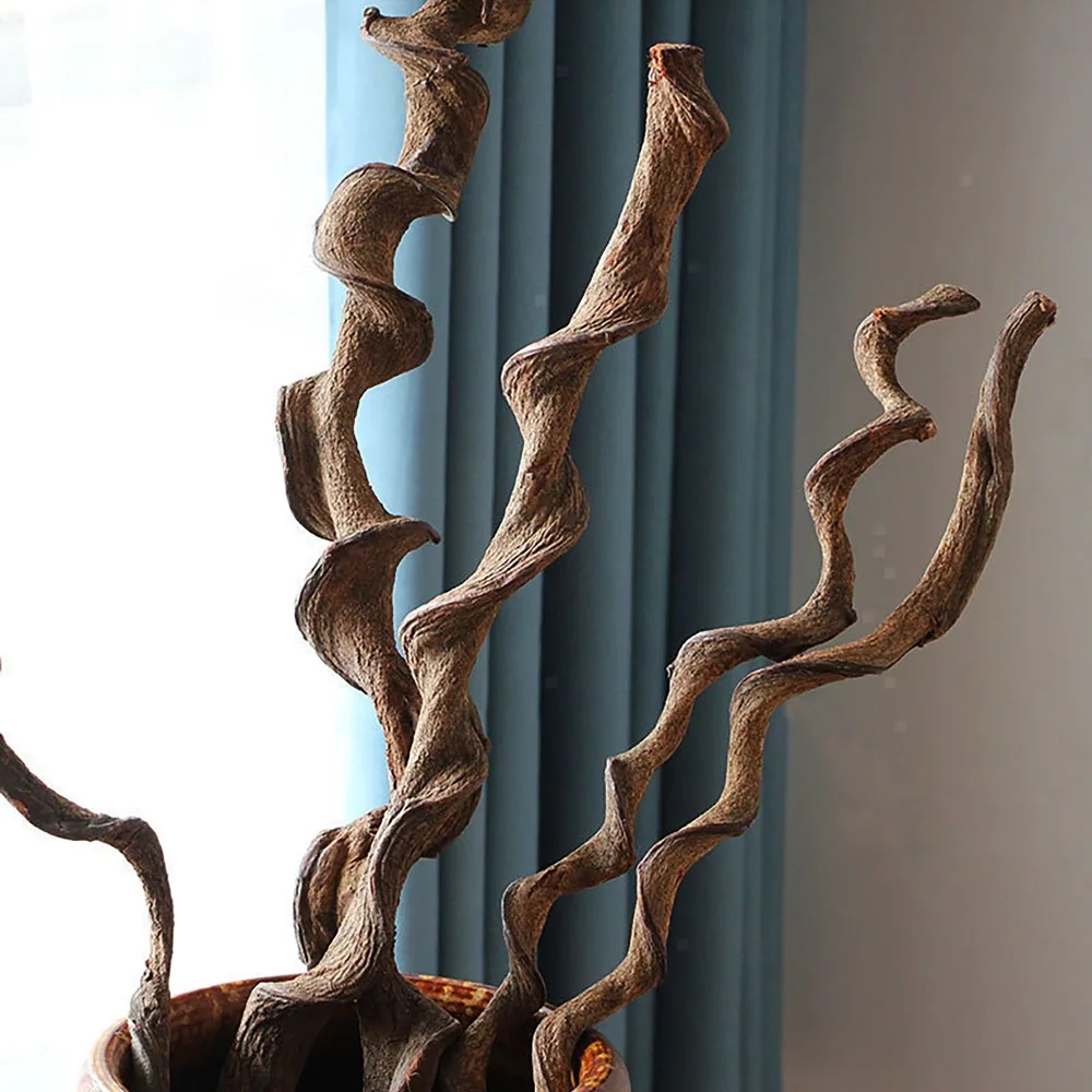 

Reptile box insect bird lizard frog snake climb cage decoration Pet activity landscape natural ecology Home Dried Rattan vine XL