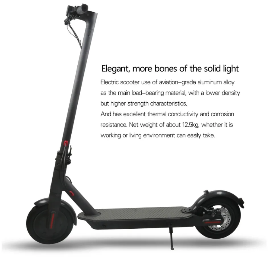 Folding Electric Scooter 10