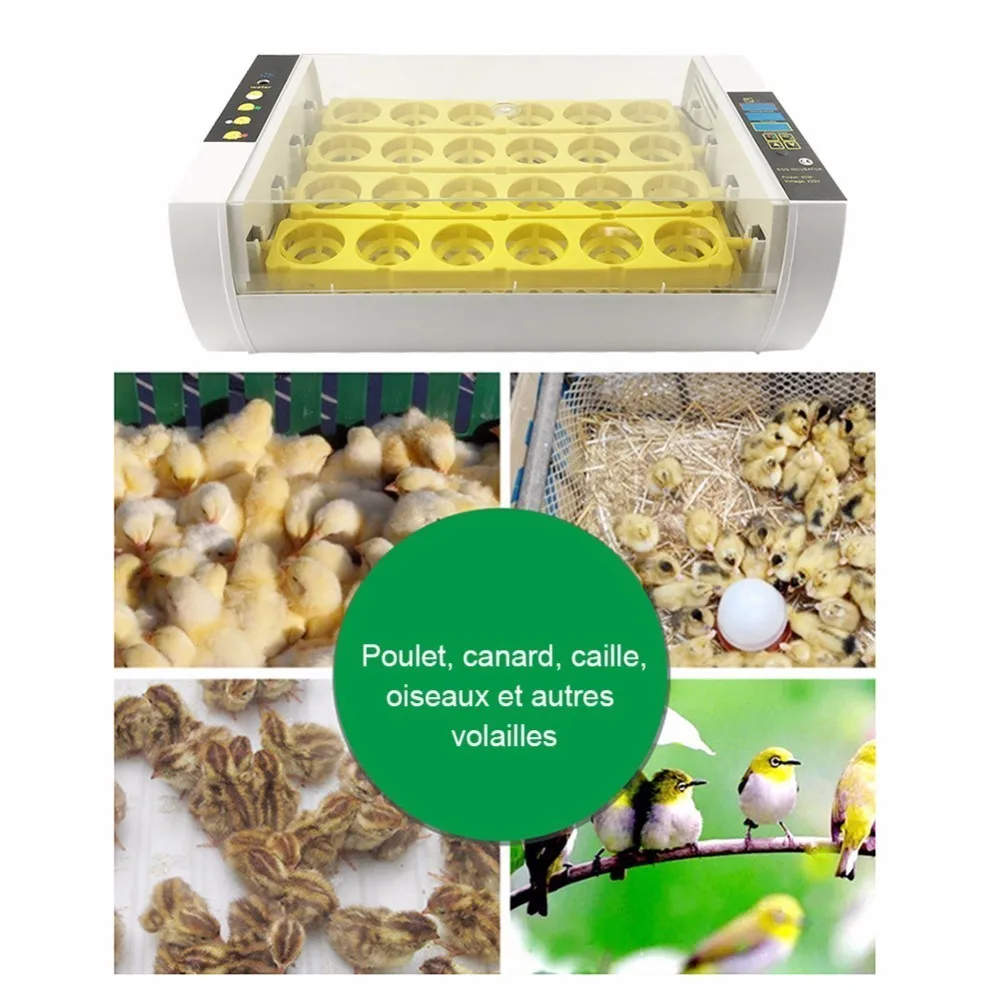 Wholesale 24 Eggs Incubator panel egg tray 60W Automatic Poultry Chicken Duck Eggs Hatcher Machine 110V/ 220V EU/US/UK Wholesale 24 Eggs Incubator panel egg tray 60W Automatic Poultry Chicken Duck Eggs Hatcher Machine 110V/ 220V EU/US/UK