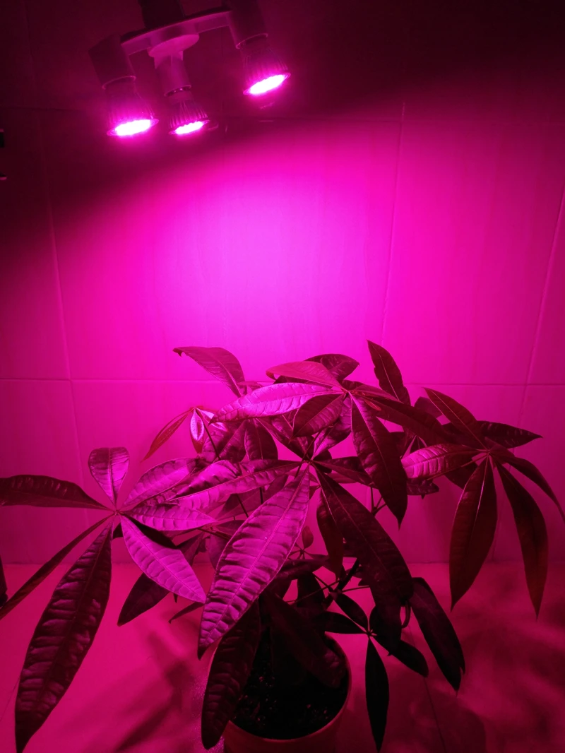 indoor grow light (1)