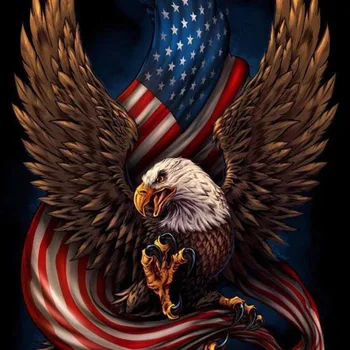 

Full Square/Round Diamond Embroidery Pattern Cross Stitch America Eagle Diamond Painting Mosaic Needlework Gift Home Decor