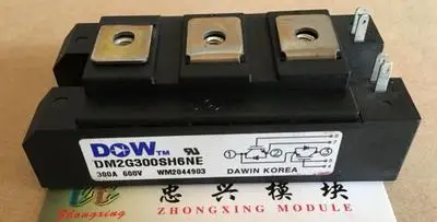 

Freeshipping New DM2G300SH6NE Power module