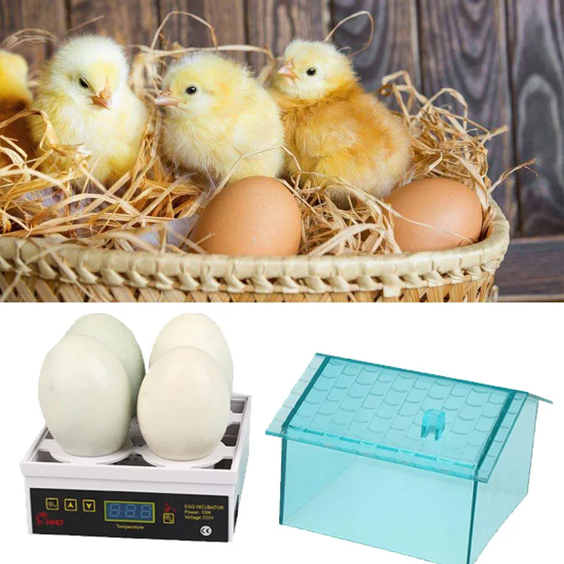 Home Use Mini Fully Automated Egg Incubator Small Hatching Chicken AU Plug Home Use Mini Fully Automated Egg Incubator Small Hatching Chicken AU Plug