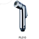 pL