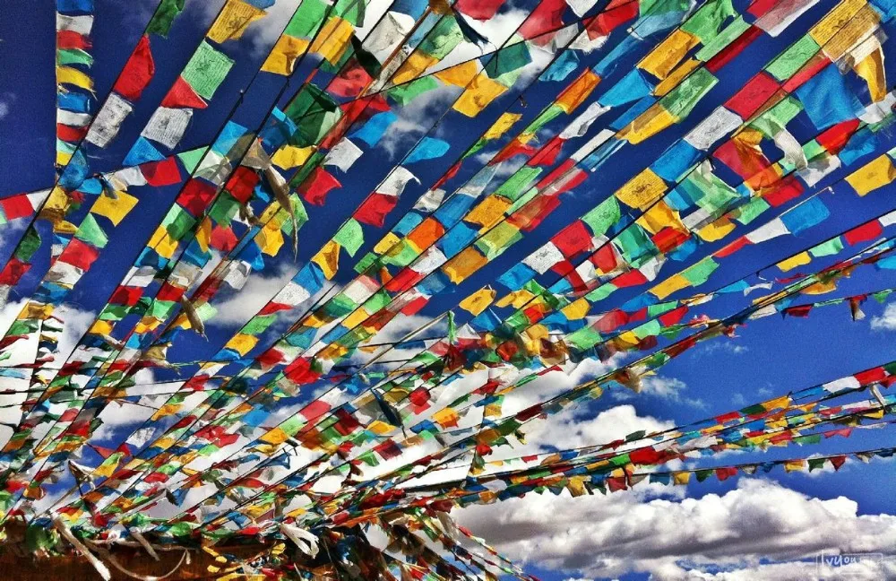 63d9f2d3572c11df6c33e9c7632762d0f603c270