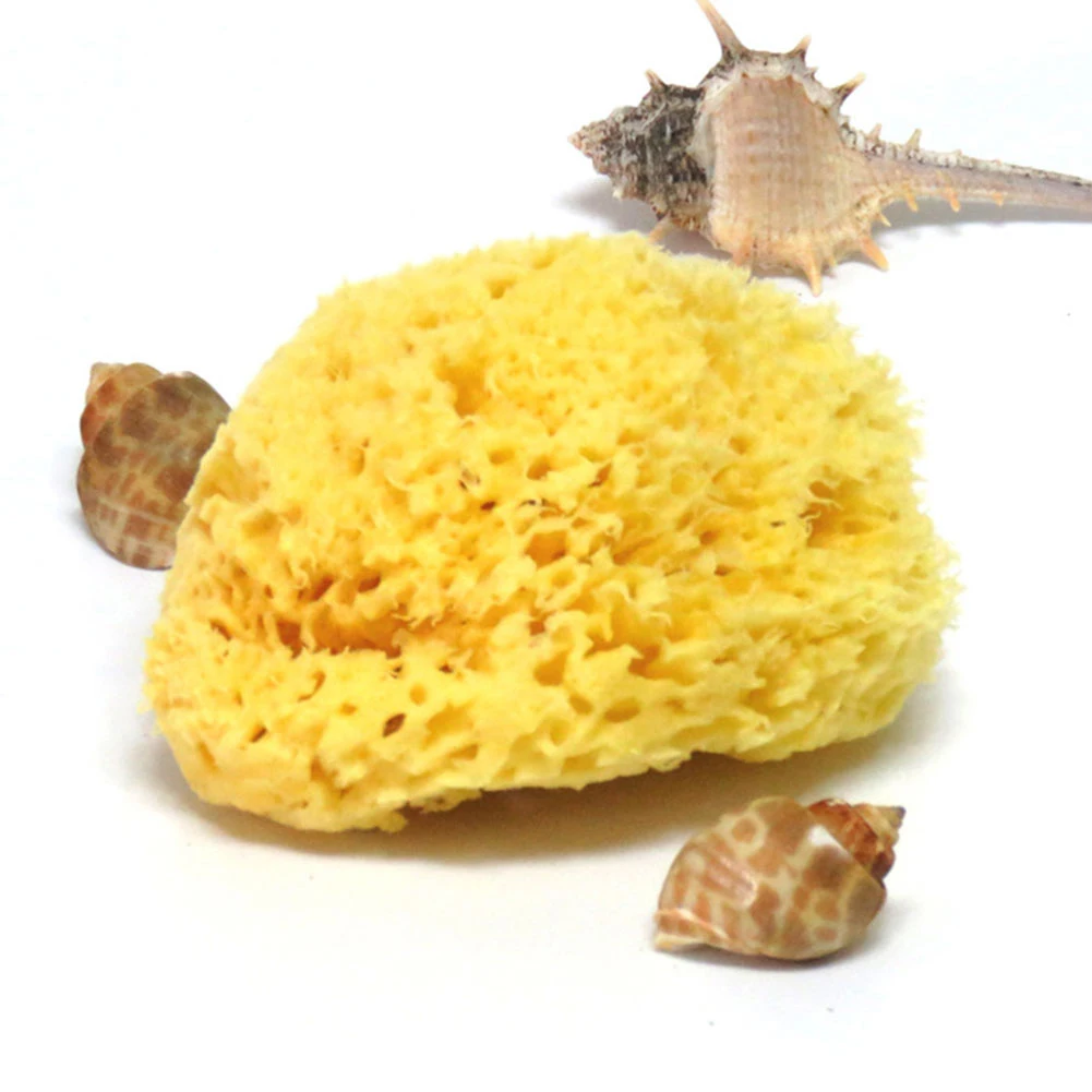

Wash Face SeaweedBath Brushes Natural Ocean Sea Sponge Bath Body Shower Washing Spa Bathroom Shower Tools Cleaning Supplies