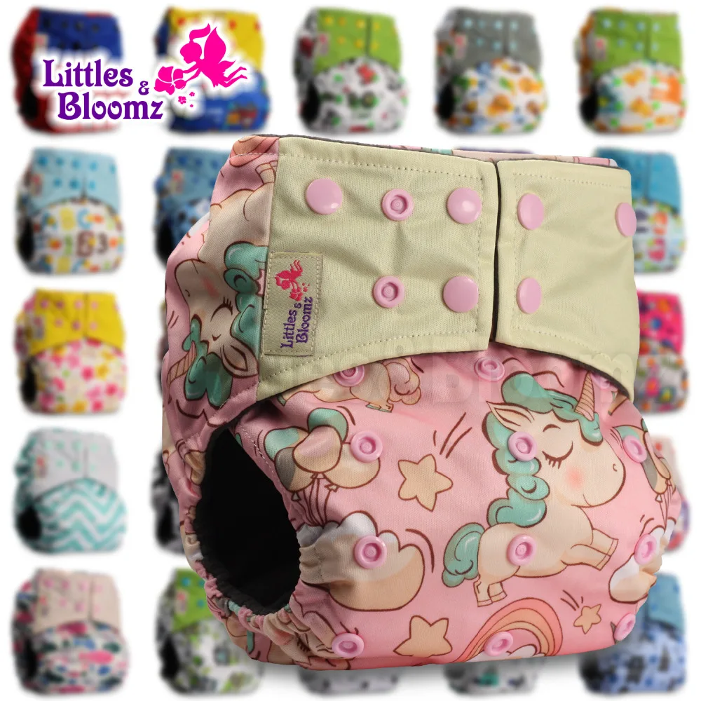 with 2 Charcoal Inserts Reusable Pocket Real Cloth Nappy Washable Diaper Bamboo Charcoal Littles /& Bloomz Pattern 2