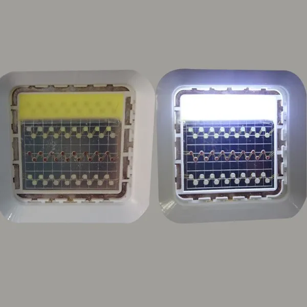 RGBW led flood light