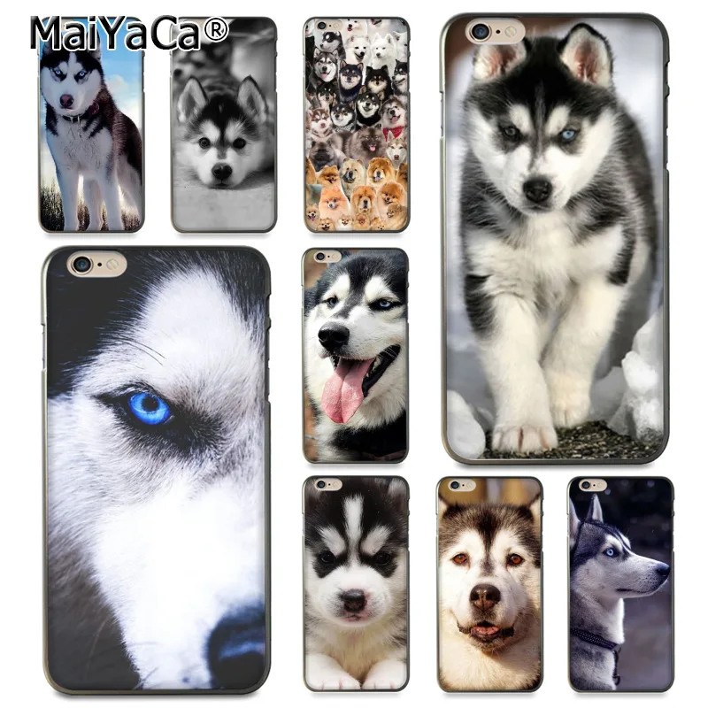 Чехол для iphone 12 11 Pro 8 7 6 6S Plus X 5 XS XR XSMAX|Бамперы| |