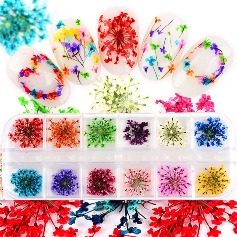 

12 Colors 3D Nail Art Decoration Real Dry Dried Flower For UV Gel Acrylic Nail Art Tips DIY Nails Accessoires For Beauty Makeup