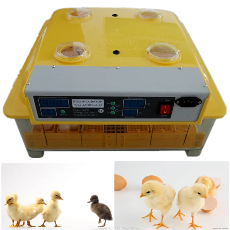 Best sale Digital 48 egg incubator For chicken duck goose control temperature | Бытовая техника