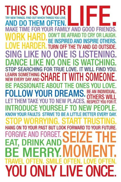 f3779 16 x24 this is your life inspiration college room poster print