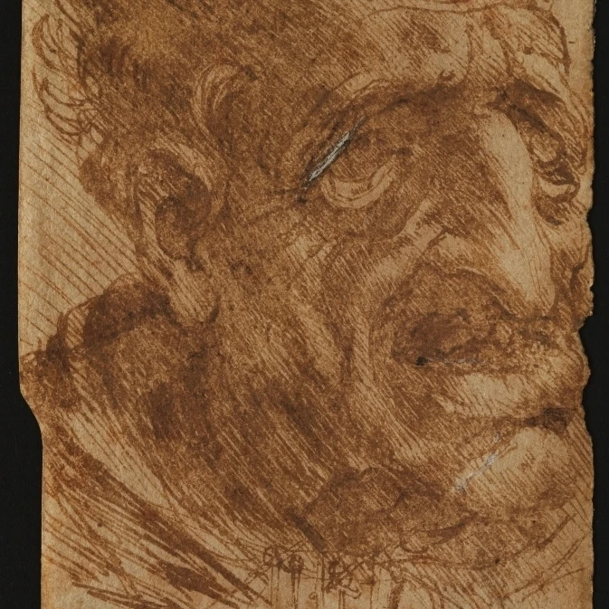 Head Of An Old Man And Sketches Of A Mechanical Device Poster Print (24 x 36)