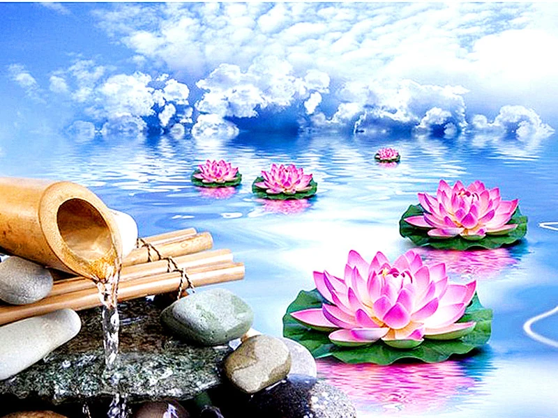 HTB1tJGPdjfguuRjy1zeq6z0KFXaI