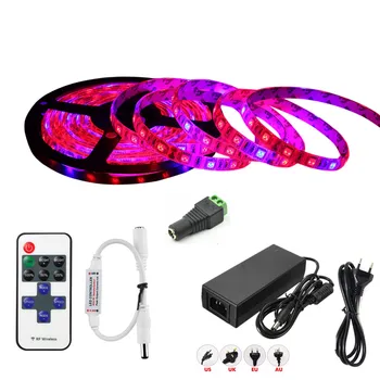 

Dimmable 5050 LED Grow Lights DC12V waterproof Growing LED Strip Plant Growth Light Set with Power Adapter and Remot Controller