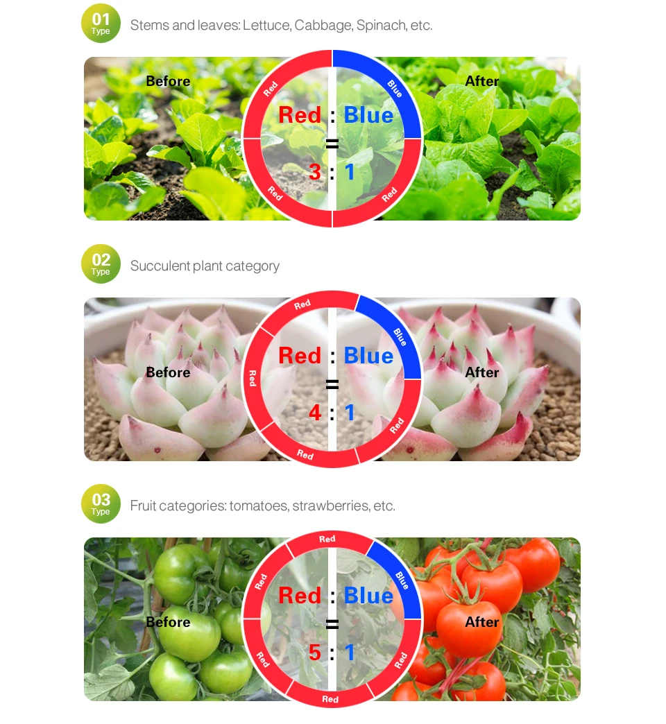 Растение для выращивания растений полный спектр светодиодные полосы цветок Фито лампа набор водонепроницаемый красный синий 4:1 для теплицы гидропоники+ адаптер питания