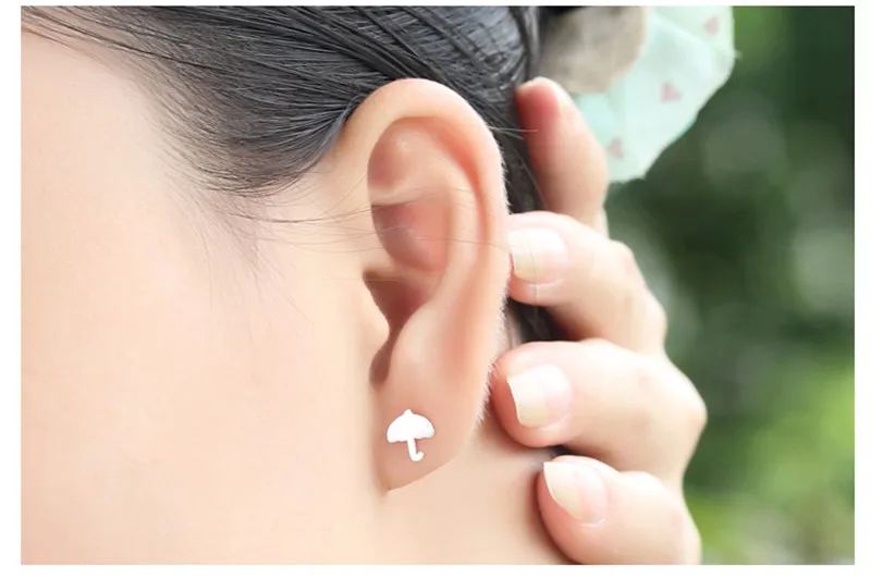 4883520913_902822302