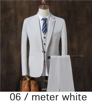 Осенний приталенный Мужской Блейзер, модный Блейзер, пиджак для мужчин, комплект из 3 предметов(пальто+ жилет+ брюки), мужской пиджак, свадебное платье - Цвет: TZ06 meter white