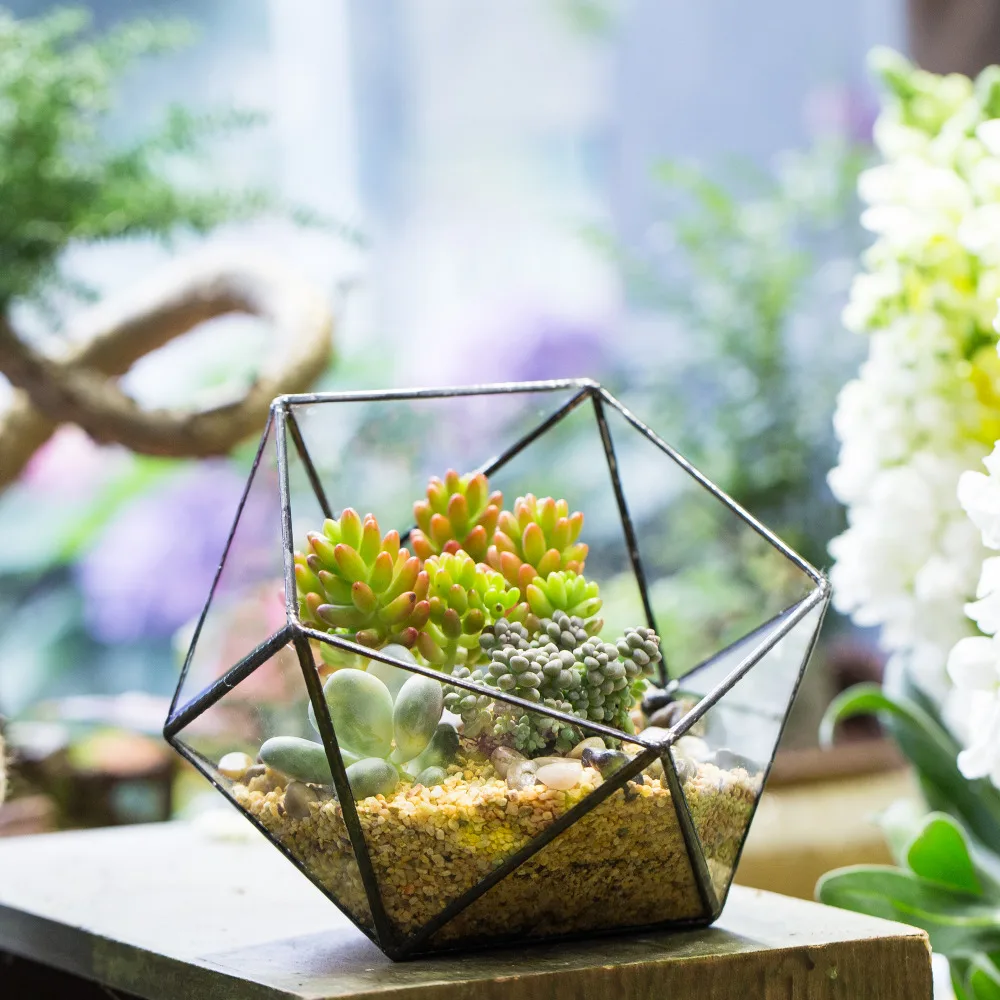 

17CM Tabletop Bowl Shape Geometric Glass Terrarium Flower Bonsai Pots Vase Garden Plants Succulent Planter Decorative Flowerpot