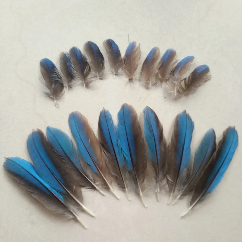 wholesaleBestselling10pcsbeautifulkingfisherfeathers27cmDiy