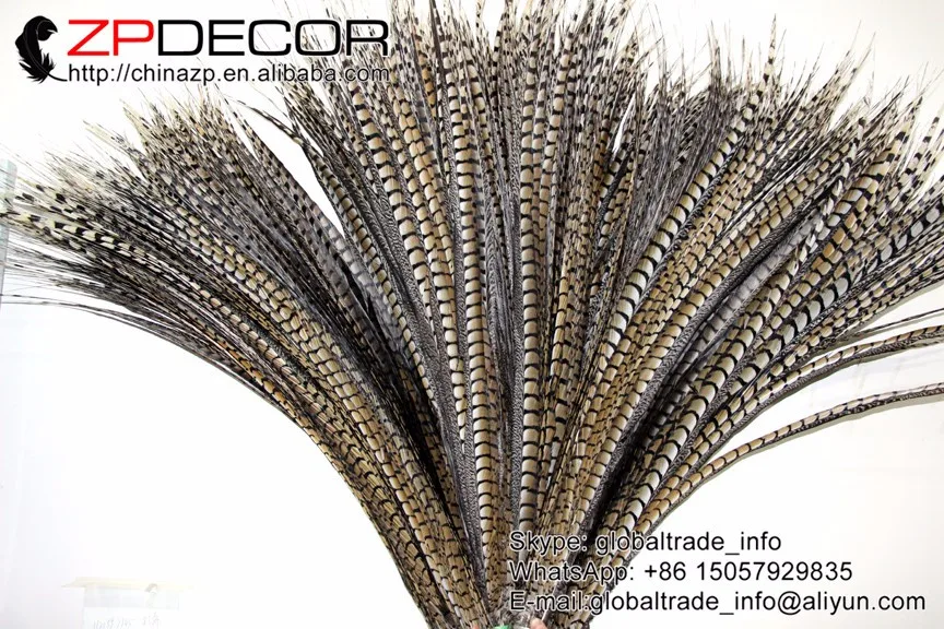 Zpdecor; большие размеры 36-40 дюймов(90-100 см) 50 шт./лот галстук-бабочка хорошее качество натуральные Алмазный фазан длинный хвост перья