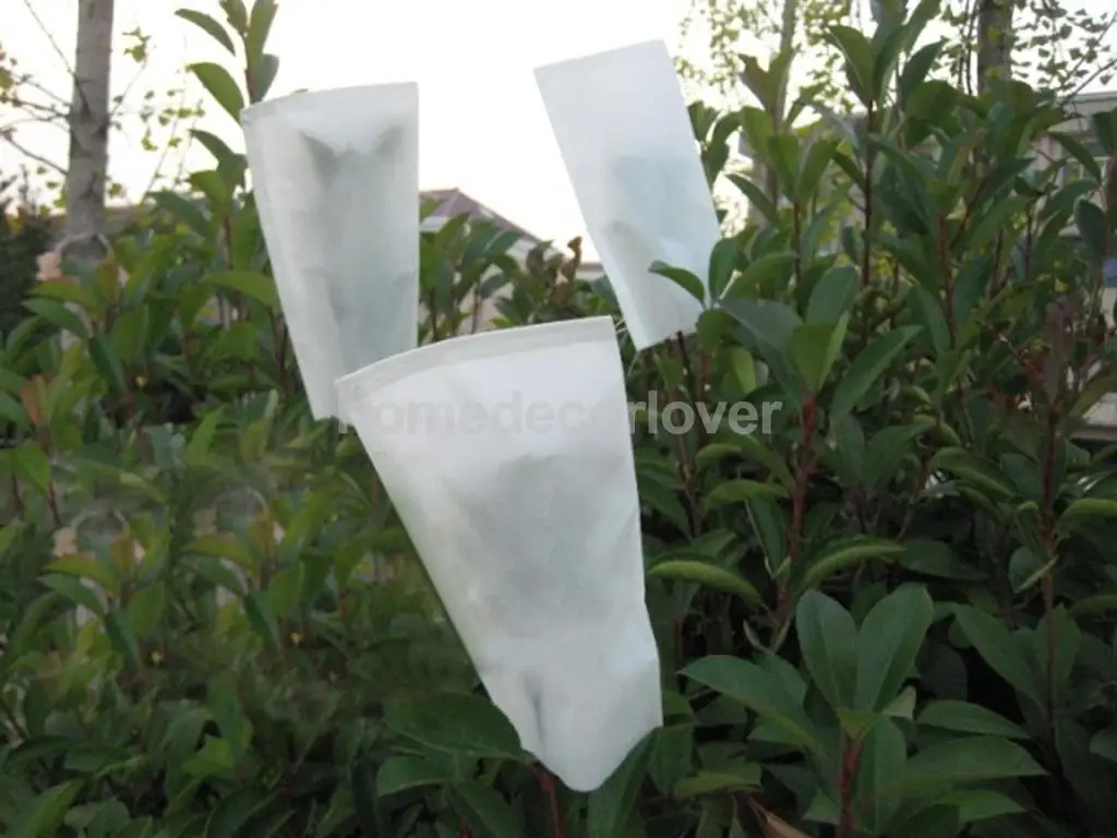 100 сельскохозяйственный садовый пергамент земледелие защита пыльцы бумажные пакеты 6*8 см