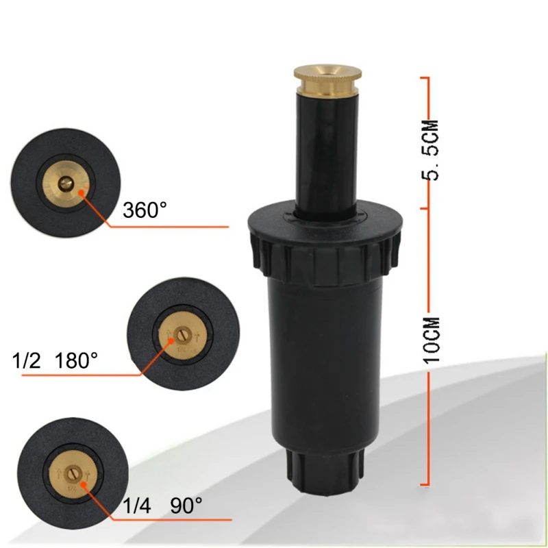 RL0974 (8)