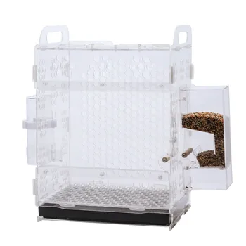 1 PCS Pet bird cage parrot breeding cage tiger skin peony cloud acacia bird small acrylic bird cage AP11261526 1