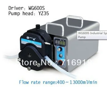 1 Channel Flow Rate 0.4~13 L//min WG600S Industrial Variable Speed Peristaltic Pump with Pump Head YZ35