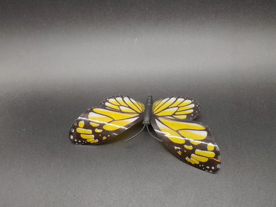 I271-Butterfly (7)