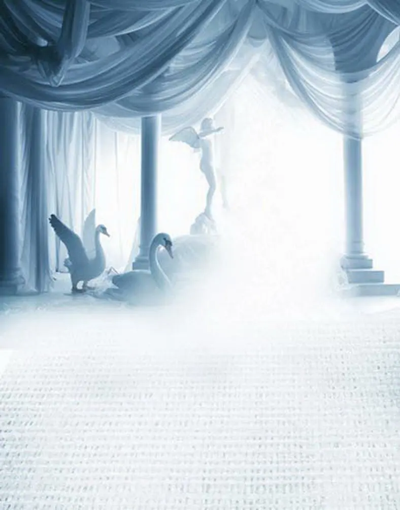 

Goose Angel Photography Backdrops Photo Props Studio Background 5x7ft