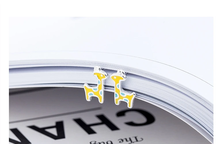 8952174032_809743692_