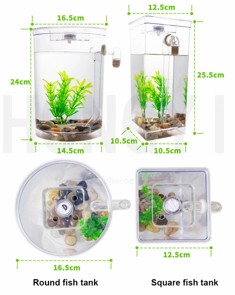 _2018-08-15T08-28-26.813Z