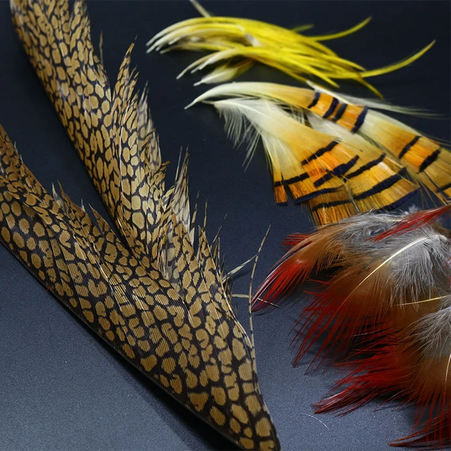 New 1set Natural Golden Pheasant Feathers Mix Golden Pheasant Head