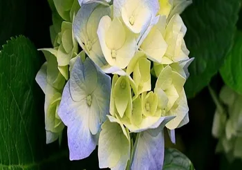 

test for xueqing0101111111111111111111111111111111111111111111111111111111111111111111111111111111111111111111111111111111111111