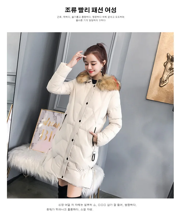 9369350231_987475734