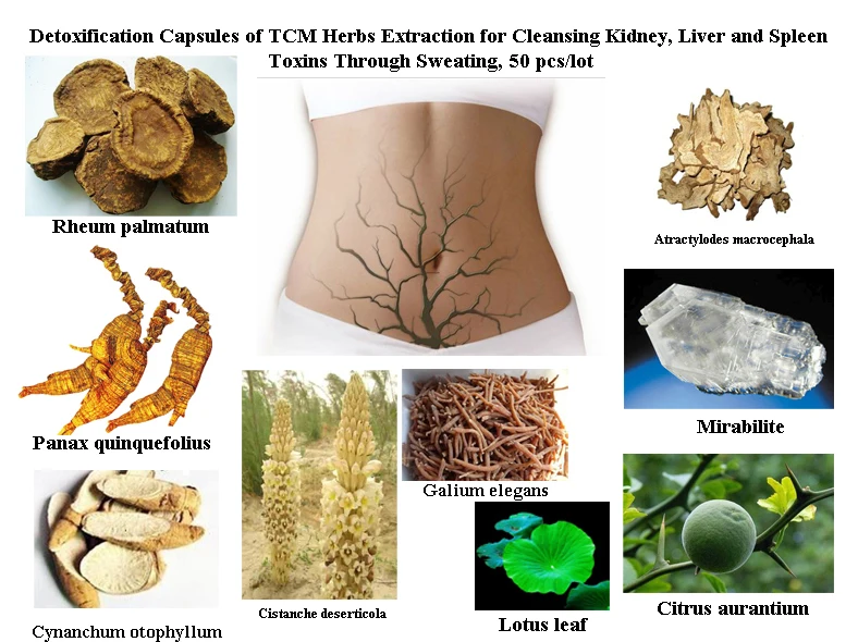

Formula of Detoxification of the Body, Clean the Waste of Body Cells, Expel Toxins and Heavy Metal out through Sweating, 50/lot