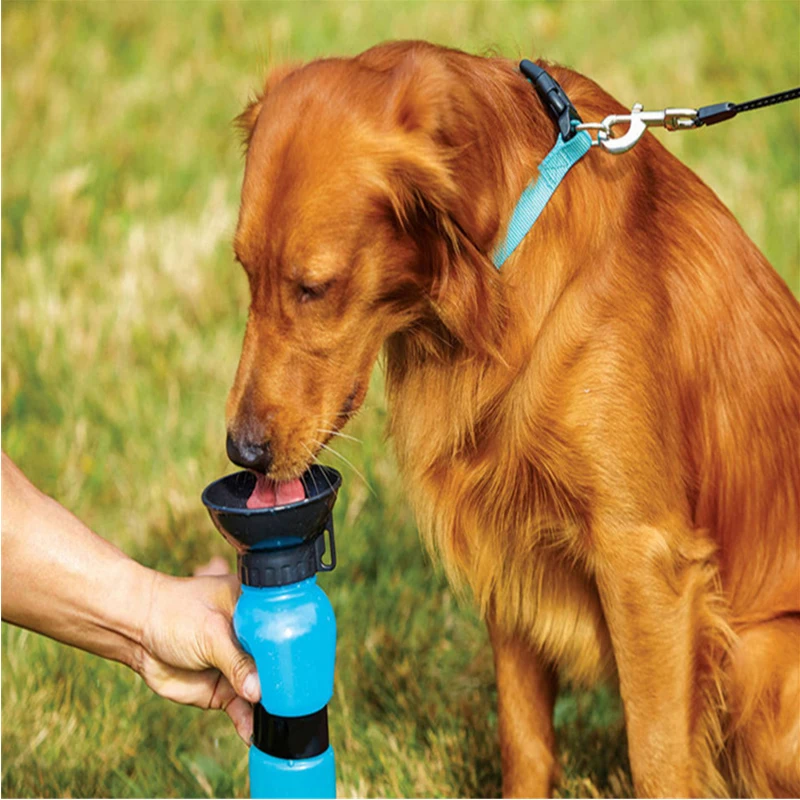 

Portable dog water fountain outdoor pet kettle Pet supplies Wholesale of pet products Multifunctional drinking water device