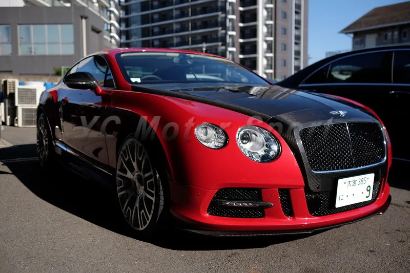 2011-2016 Bentley Continental GT GTC MANSORY SANGUIS Style Body Kit PCF  (16)