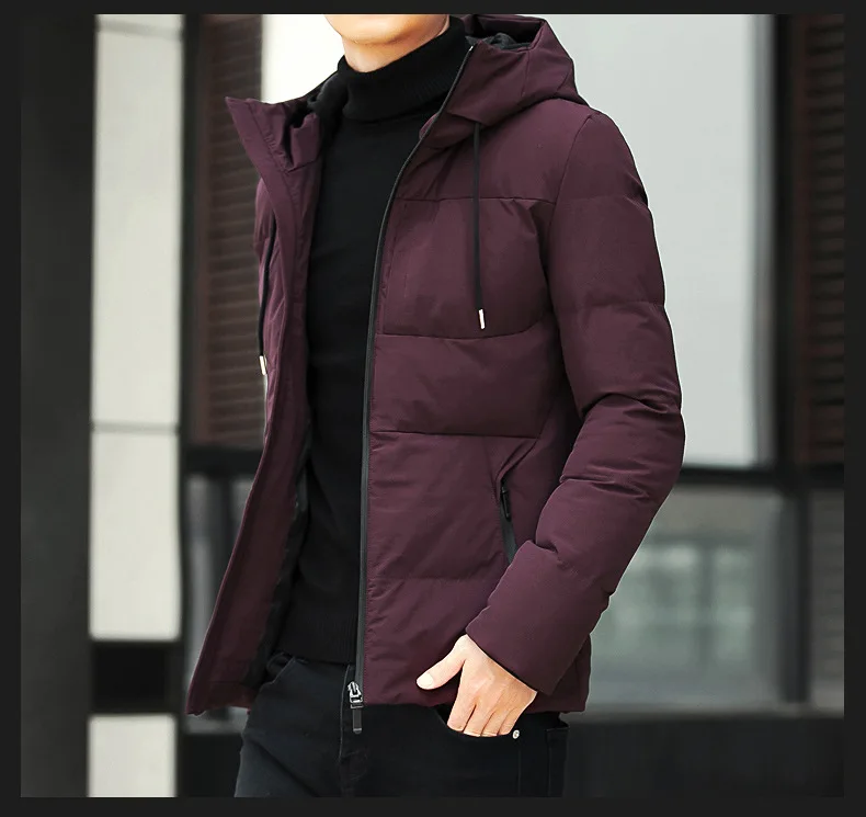 Роскошная Новая брендовая зимняя куртка, Мужская одежда, повседневное модное зимнее пальто с воротником-стойкой и капюшоном, Мужская парка, теплая верхняя одежда - Цвет: 2