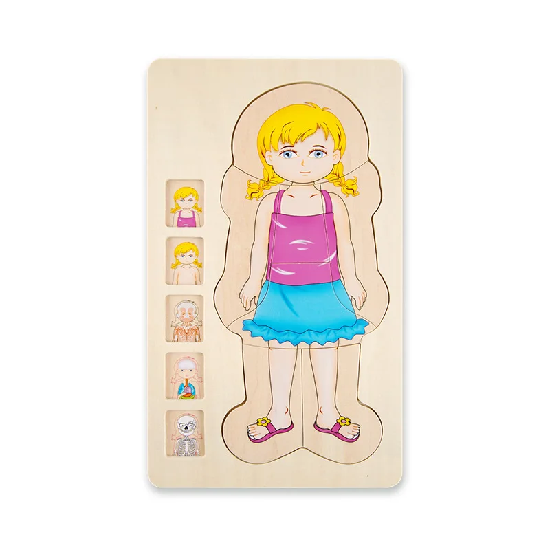 Onshine деревянные Многослойные игрушки-головоломки для мальчиков и девочек, структура тела для детей, Обучающие игрушки - Цвет: Girl